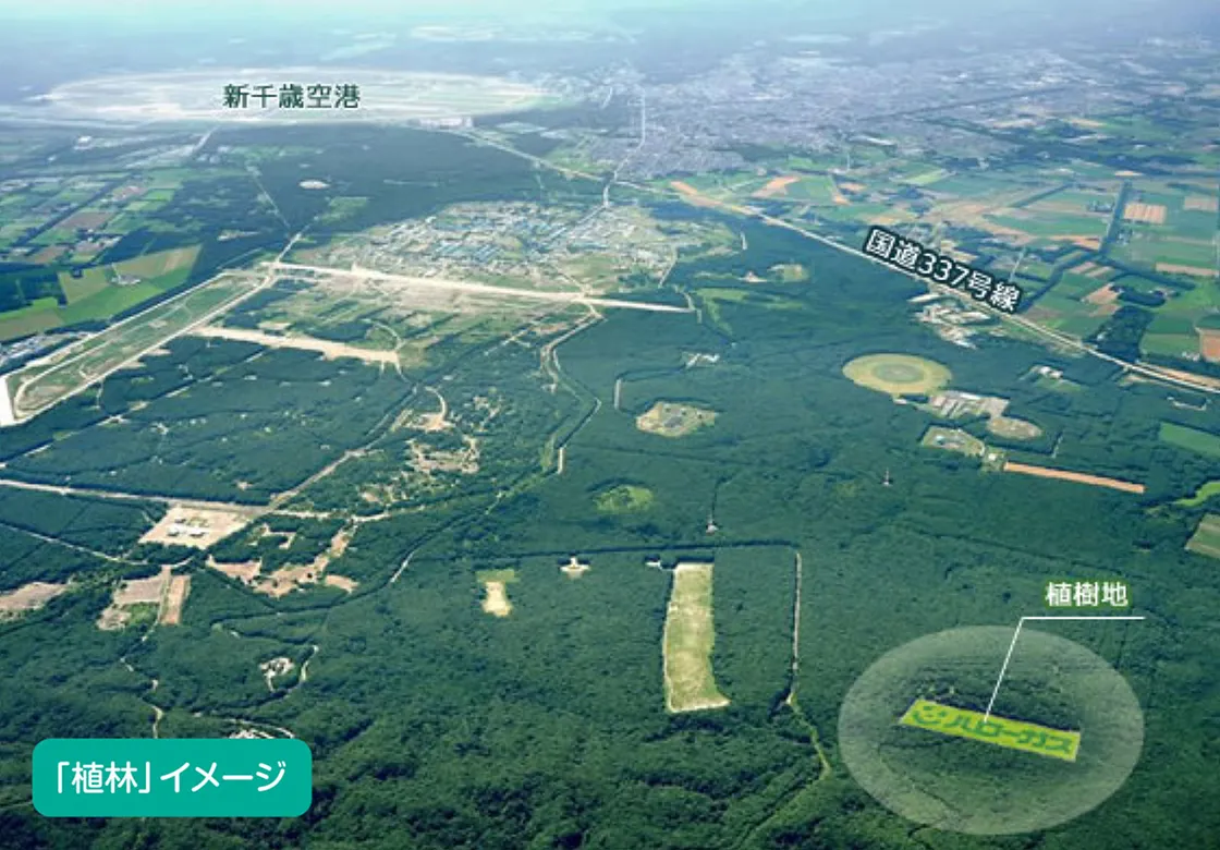 「植林」イメージ